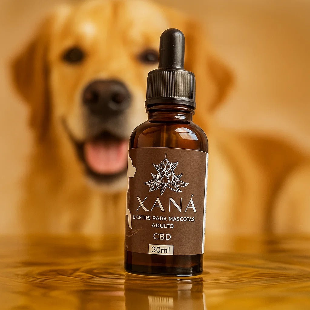 CBD para perros - Adulto - 30 ML