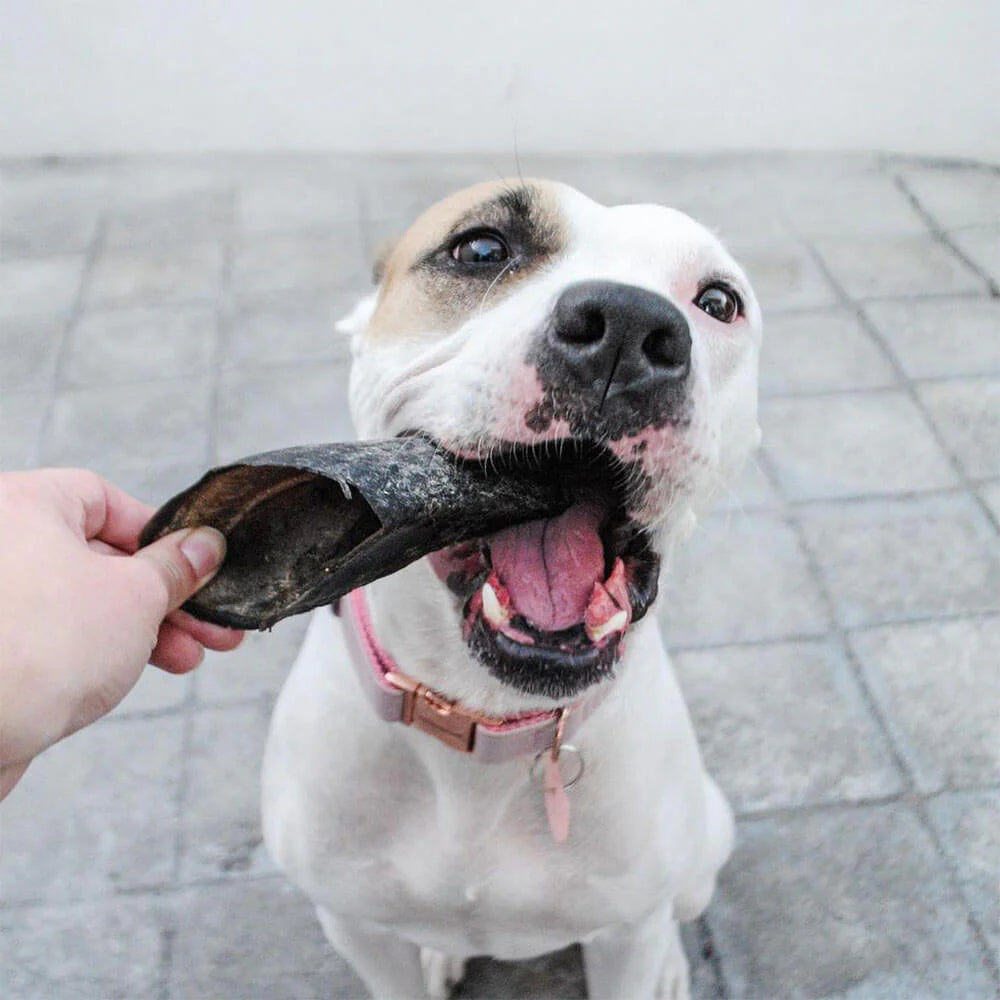 3 Pezuñas Saborizada Res Snacks para Perros
